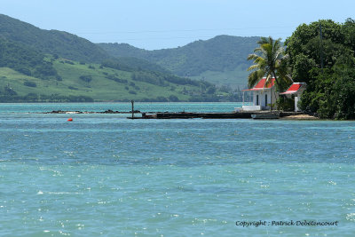 2 weeks on Mauritius island in march 2010 - 530MK3_8374_DxO WEB.jpg