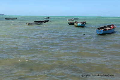 2 weeks on Mauritius island in march 2010 - 538MK3_8382_DxO WEB.jpg