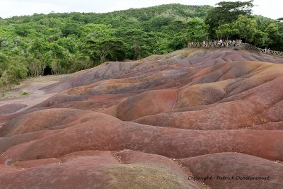 2 weeks on Mauritius island in march 2010 - 639MK3_9622_DxO WEB.jpg