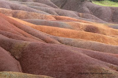 2 weeks on Mauritius island in march 2010 - 663MK3_9646_DxO WEB.jpg