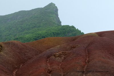 2 weeks on Mauritius island in march 2010 - 686MK3_9669_DxO WEB.jpg