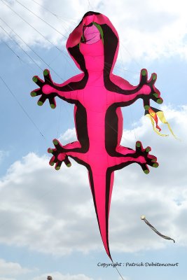 102 Cerfs volants  Berck sur Mer - MK3_7945_DxO WEB.jpg