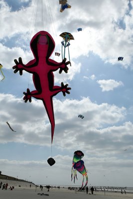 106 Cerfs volants  Berck sur Mer - MK3_7949_DxO WEB.jpg