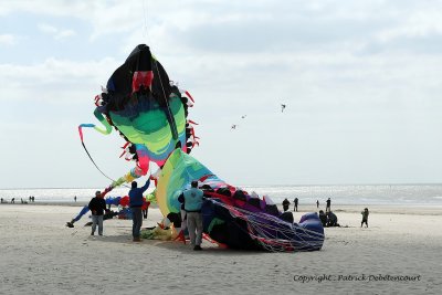 122 Cerfs volants  Berck sur Mer - MK3_7965_DxO WEB.jpg