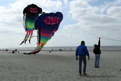 126 Cerfs volants  Berck sur Mer - MK3_7969_DxO WEB.jpg