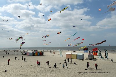 25 Cerfs volants  Berck sur Mer - MK3_7875_DxO WEB.jpg