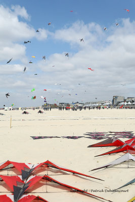 34 Cerfs volants  Berck sur Mer - MK3_7884_DxO WEB.jpg