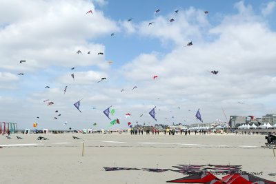 37 Cerfs volants  Berck sur Mer - MK3_7887_DxO WEB.jpg