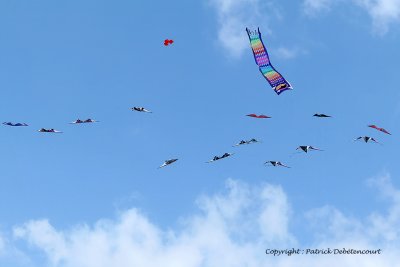 39 Cerfs volants  Berck sur Mer - MK3_7889_DxO WEB.jpg