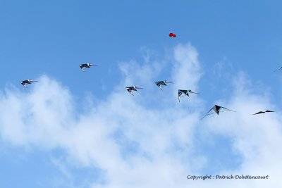 41 Cerfs volants  Berck sur Mer - MK3_7891_DxO WEB.jpg