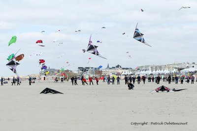 42 Cerfs volants  Berck sur Mer - MK3_7892_DxO WEB.jpg