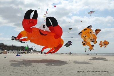 45 Cerfs volants  Berck sur Mer - MK3_7895_DxO WEB.jpg