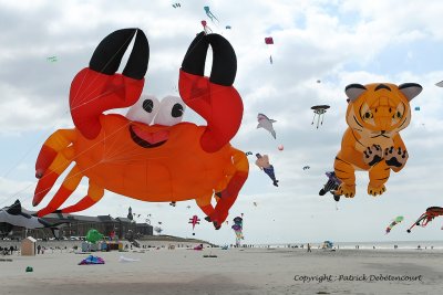 47 Cerfs volants  Berck sur Mer - MK3_7897_DxO WEB.jpg