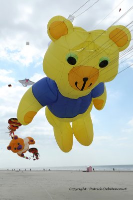 54 Cerfs volants  Berck sur Mer - MK3_7904_DxO WEB.jpg