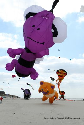 75 Cerfs volants  Berck sur Mer - MK3_7918_DxO WEB.jpg