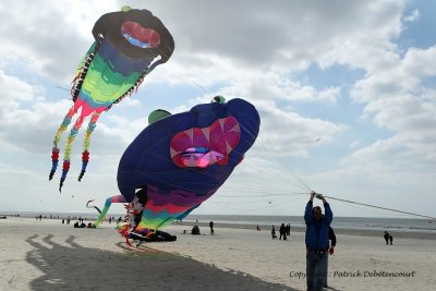 131 Cerfs volants  Berck sur Mer - MK3_7974_DxO WEB.jpg