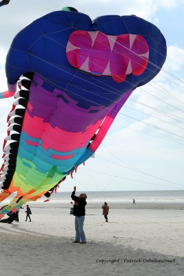 133 Cerfs volants  Berck sur Mer - MK3_7976_DxO WEB.jpg