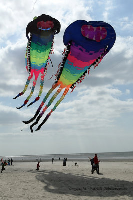 139 Cerfs volants  Berck sur Mer - MK3_7982_DxO WEB.jpg