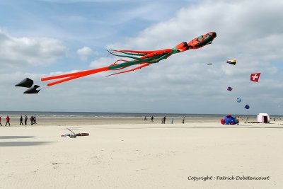 155 Cerfs volants  Berck sur Mer - MK3_7998_DxO WEB.jpg