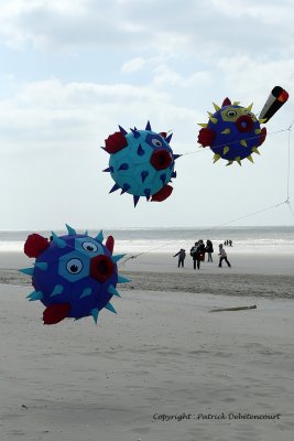 177 Cerfs volants  Berck sur Mer - MK3_8020_DxO WEB.jpg