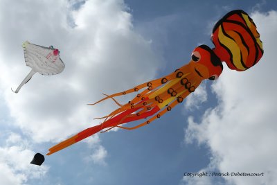 193 Cerfs volants  Berck sur Mer - MK3_8036_DxO WEB.jpg