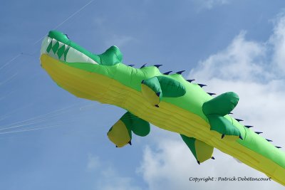 259 Cerfs volants  Berck sur Mer - MK3_8102_DxO WEB.jpg