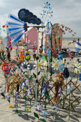 376 Cerfs volants  Berck sur Mer - MK3_8221_DxO WEB.jpg