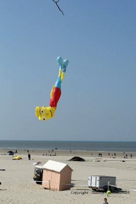 418 Cerfs volants  Berck sur Mer - MK3_8235_DxO WEB.jpg