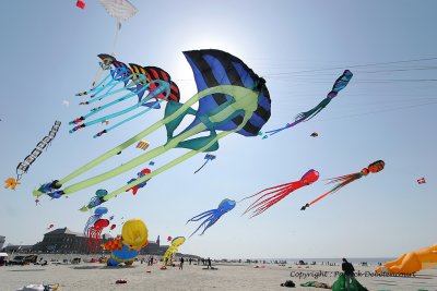 444 Cerfs volants  Berck sur Mer - IMG_3013_DxO WEB.jpg