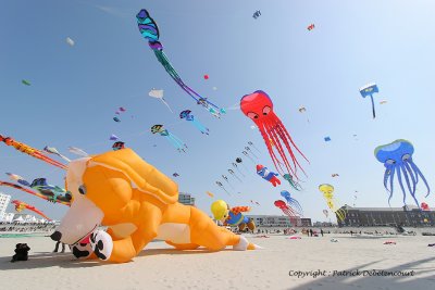 447 Cerfs volants  Berck sur Mer - IMG_3016_DxO WEB.jpg