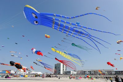 453 Cerfs volants  Berck sur Mer - IMG_3022_DxO WEB.jpg