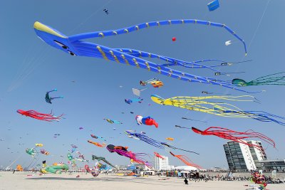 459 Cerfs volants  Berck sur Mer - IMG_3028_DxO WEB.jpg