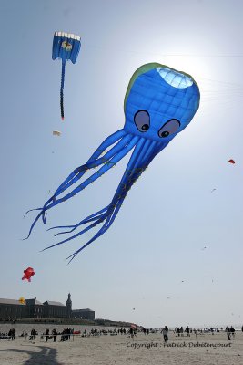 466 Cerfs volants  Berck sur Mer - IMG_3035_DxO WEB.jpg