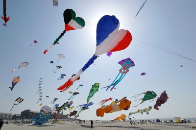 491 Cerfs volants  Berck sur Mer - IMG_3060_DxO WEB.jpg