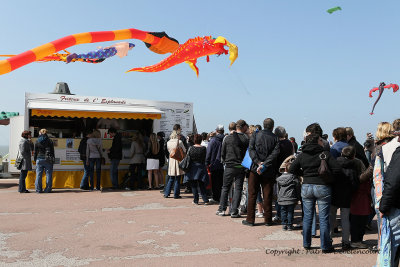 543 Cerfs volants  Berck sur Mer - MK3_8239_DxO WEB.jpg