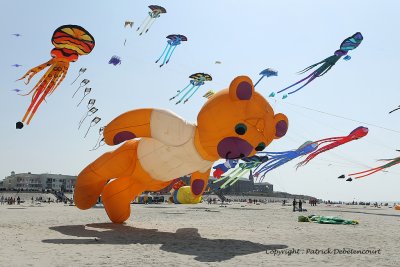 606 Cerfs volants  Berck sur Mer - MK3_8255_DxO WEB.jpg