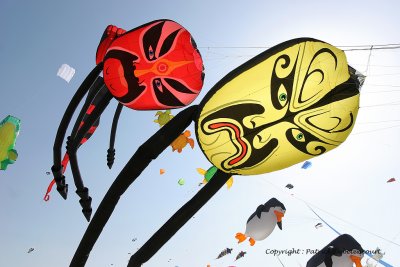 626 Cerfs volants  Berck sur Mer - IMG_3176_DxO WEB.jpg