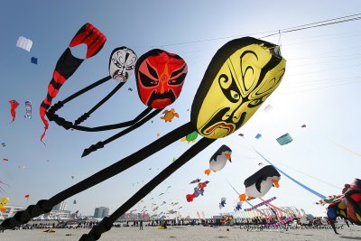 International Kite Festival in Berck sur Mer - Rencontres Internationales de Cerfs-Volants à Berck sur Mer