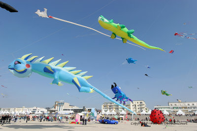 667 Cerfs volants  Berck sur Mer - IMG_3200_DxO WEB.jpg