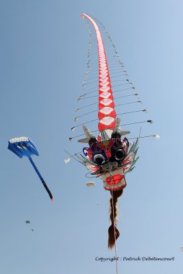 723 Cerfs volants  Berck sur Mer - MK3_8289_DxO WEB.jpg