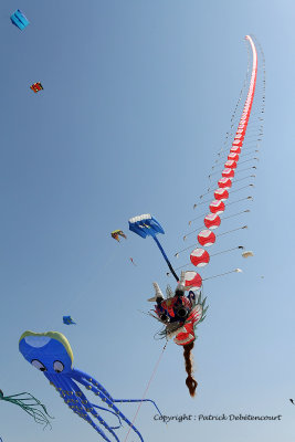 731 Cerfs volants  Berck sur Mer - MK3_8293_DxO WEB.jpg