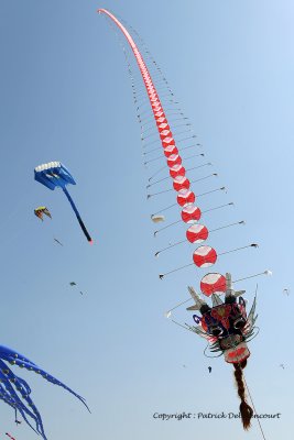 732 Cerfs volants  Berck sur Mer - MK3_8294_DxO WEB.jpg