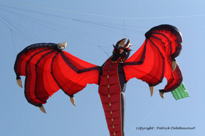 796 Cerfs volants  Berck sur Mer - MK3_8362_DxO WEB.jpg