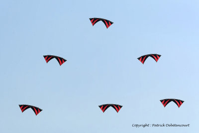 809 Cerfs volants  Berck sur Mer - MK3_8375_DxO WEB.jpg