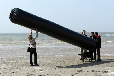 805 Cerfs volants  Berck sur Mer - MK3_8371_DxO WEB.jpg