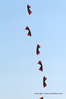 807 Cerfs volants  Berck sur Mer - MK3_8373_DxO WEB.jpg