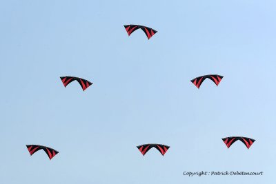 809 Cerfs volants  Berck sur Mer - MK3_8375_DxO WEB.jpg