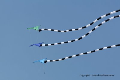 826 Cerfs volants  Berck sur Mer - MK3_8394_DxO WEB.jpg