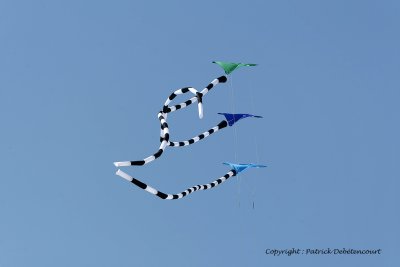 829 Cerfs volants  Berck sur Mer - MK3_8397_DxO WEB.jpg