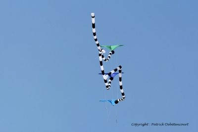 830 Cerfs volants  Berck sur Mer - MK3_8398_DxO WEB.jpg